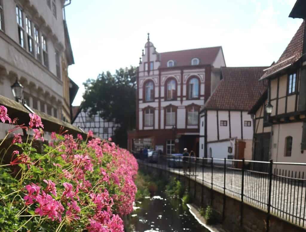 Charmante Stadtansicht mit Fluss, historischen Gebäuden und blühenden Blumen im Vordergrund.